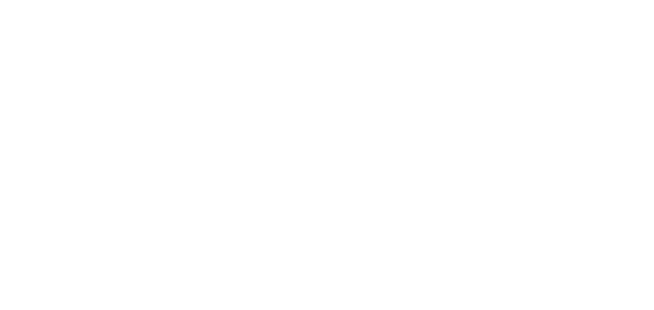 Splendid Sea AG logo